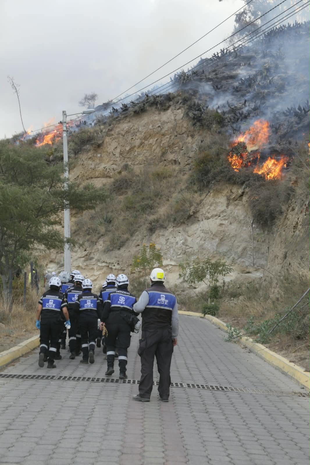 Consulting Group Ecuador se sumó a las labores de apoyo durante incendios forestales en Quito